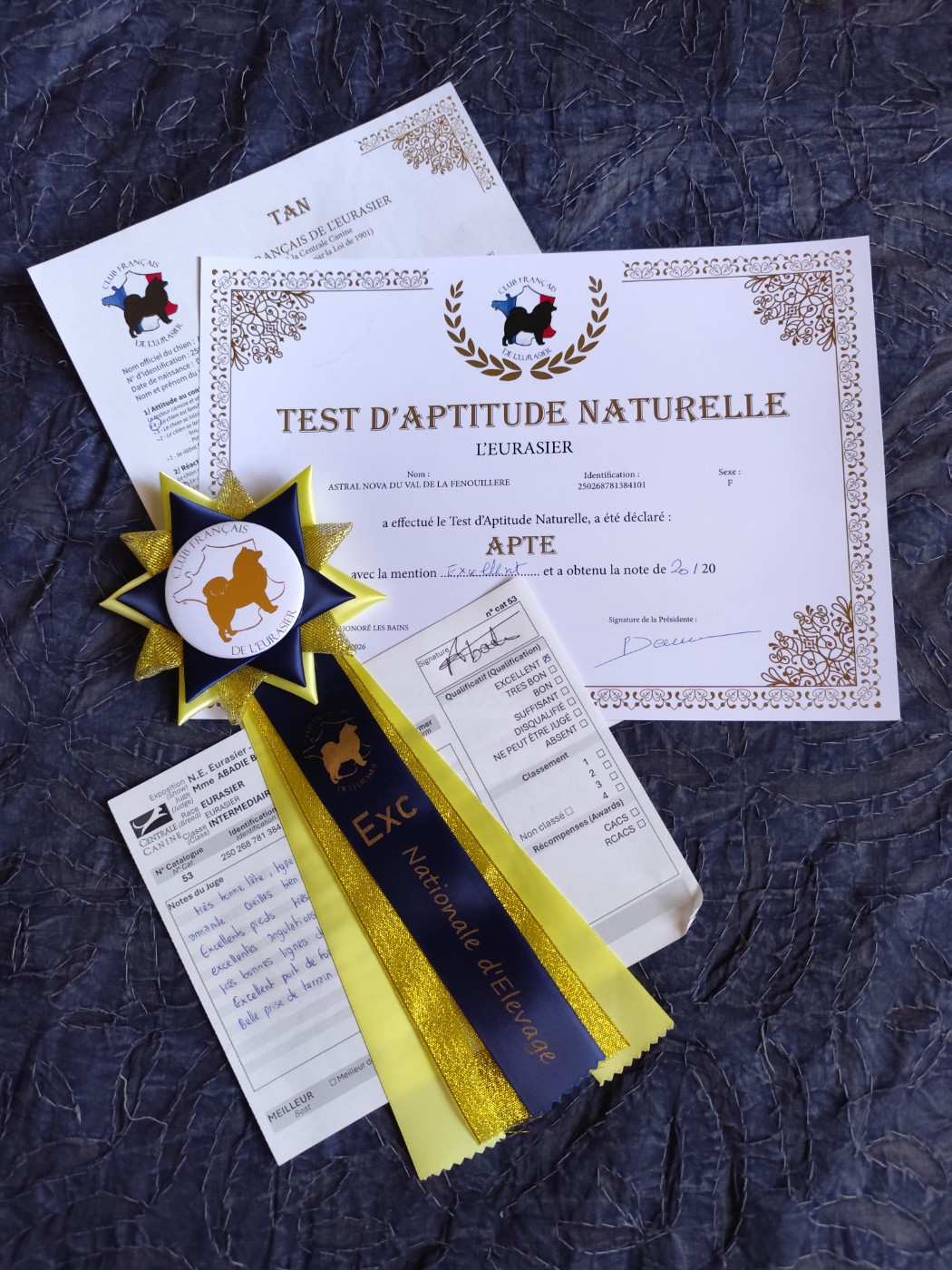 Astral Nova Du Val De La Fenouillere - Excellent NC