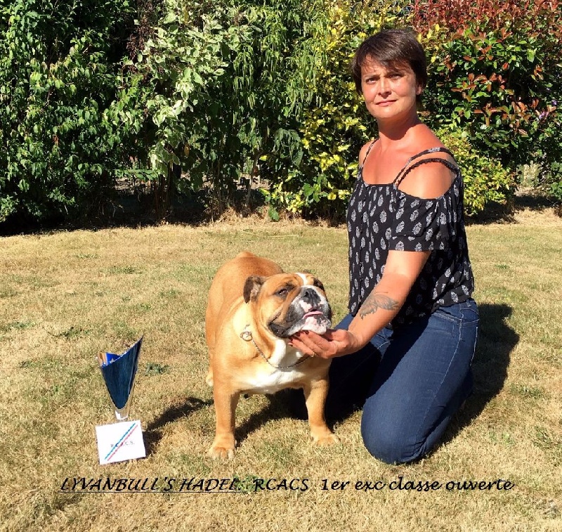 Lyvanbull's Hadel - RCACS, 1er excellent Classe Ouverte