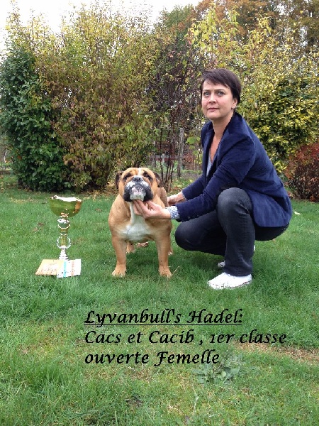 Lyvanbull's Hadel - CACS et CACIB , 1er ex Classe Ouverte