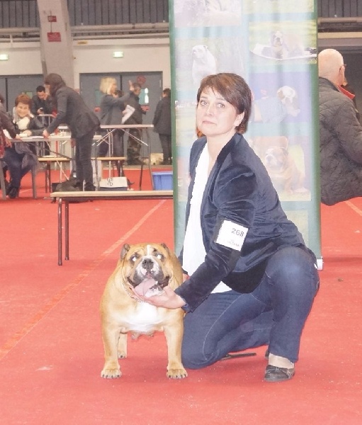 Lyvanbull's Hadel - RCACS et RCACIB