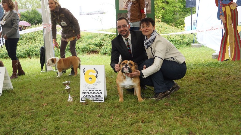 Lyvanbull's Hadel - 6eme EXCELLENT