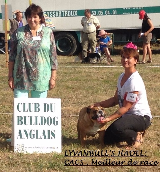 Lyvanbull's Hadel - CACS , 1er Excellent Classe Ouverte et MEILLEUR DE RACE