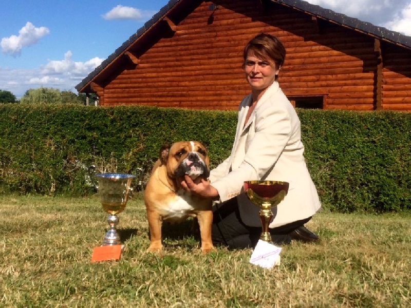 Lyvanbull's Hadel - CACS , Meilleur de race, 2eme du groupe 2