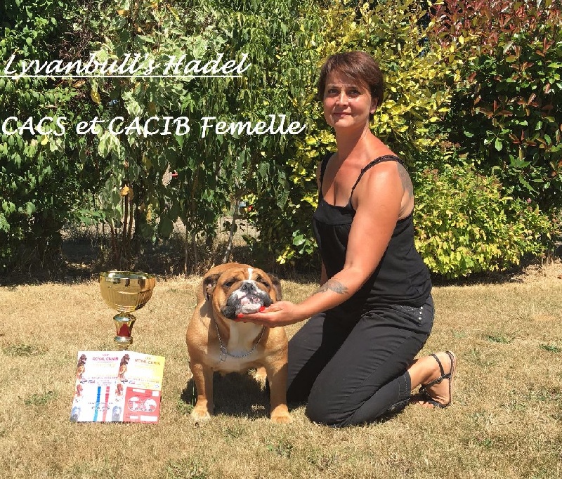 Lyvanbull's Hadel - CACS et CACIB , 1er Excellent Classe Ouverte