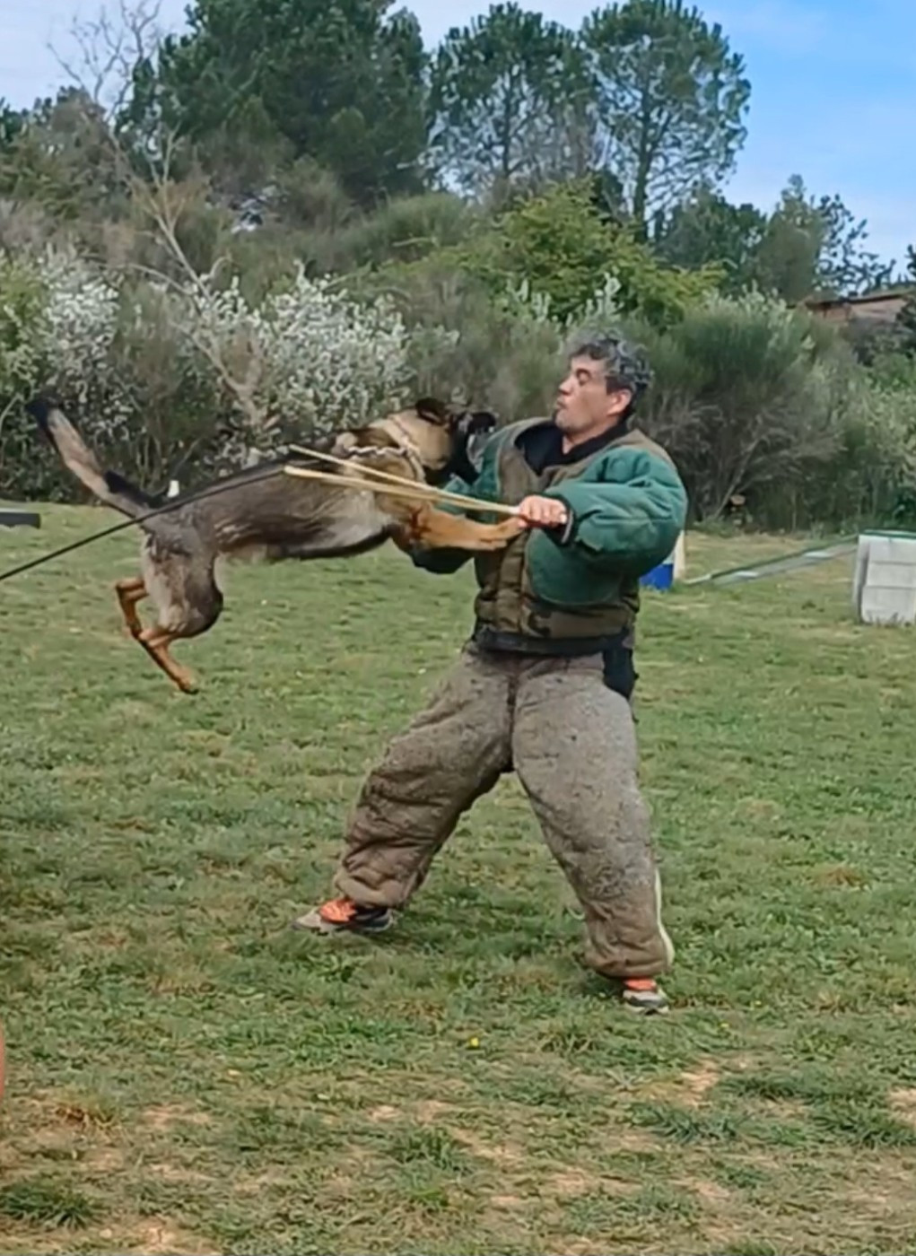 Utah Du Seigneur De La Taiga