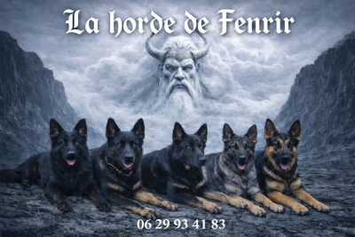 De La Horde De Fenrir