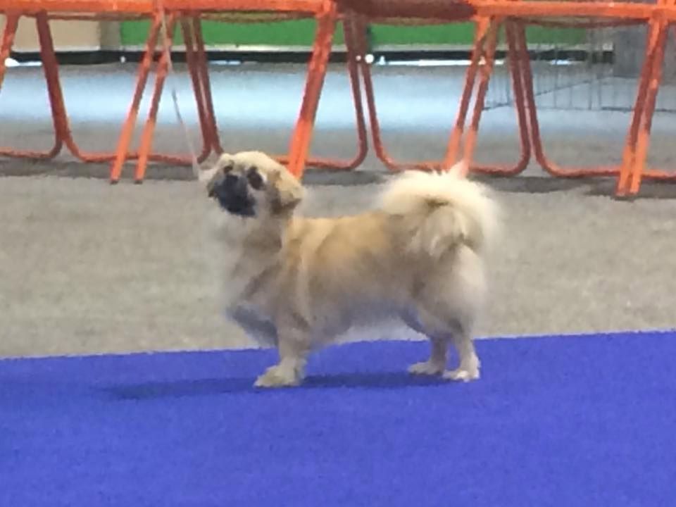 La cerise sur le gâteau Des Divines Idylles De Nagaco - Excellente non classée retenue dans les 6 dernières