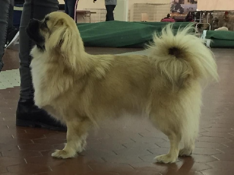 La cerise sur le gâteau Des Divines Idylles De Nagaco - 4 ème excellente classe jeune