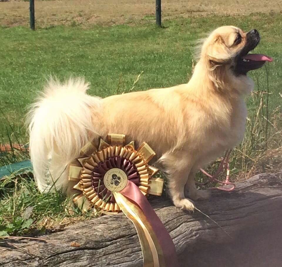 La cerise sur le gâteau Des Divines Idylles De Nagaco - 2 ème excellente classe ouverte