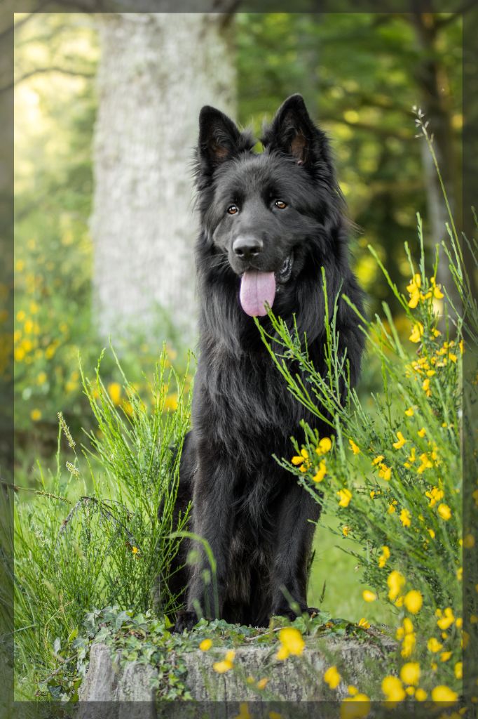 Publication : Du Ruisseau Hollenbach