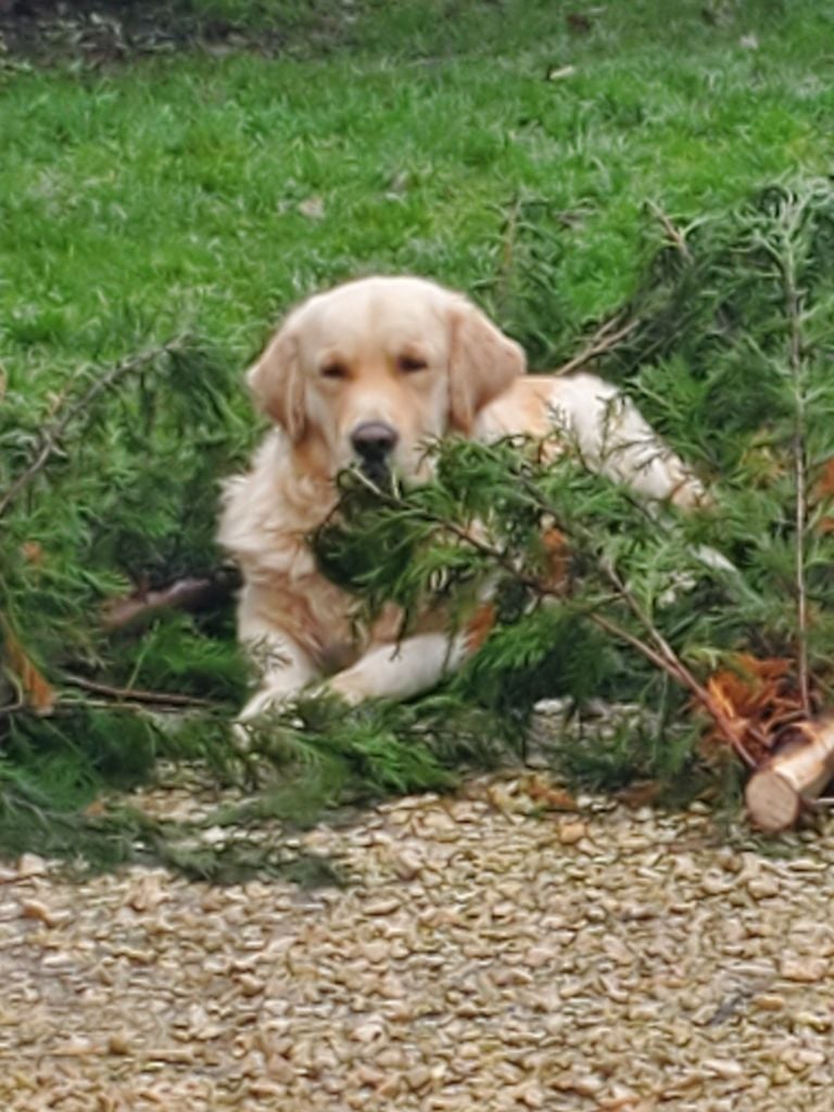Top gun des Légendaires Nahauri
