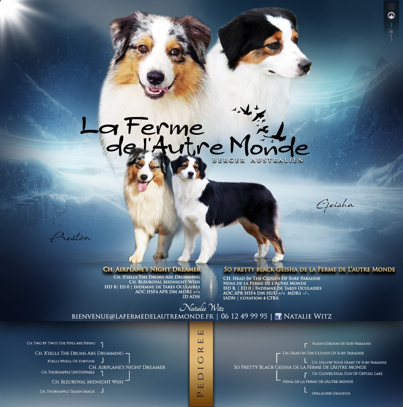 Berger Australien - de la ferme de l'autre monde