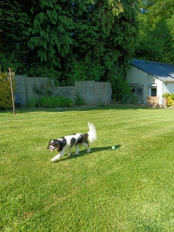 Uilona de la cascade de blangy