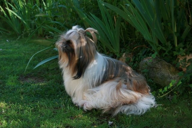 Publication : Des Petites Douceurs