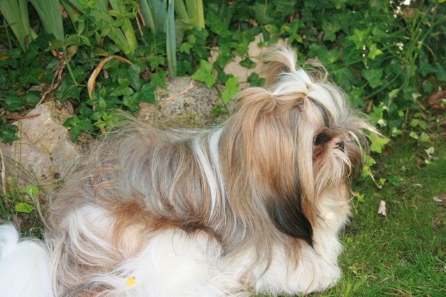 Publication : Des Petites Douceurs