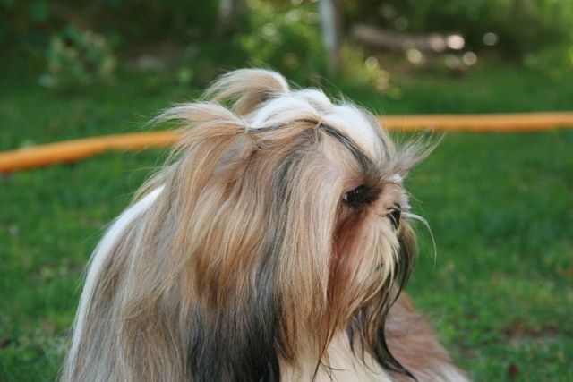 Publication : Des Petites Douceurs