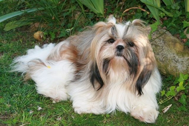 Publication : Des Petites Douceurs