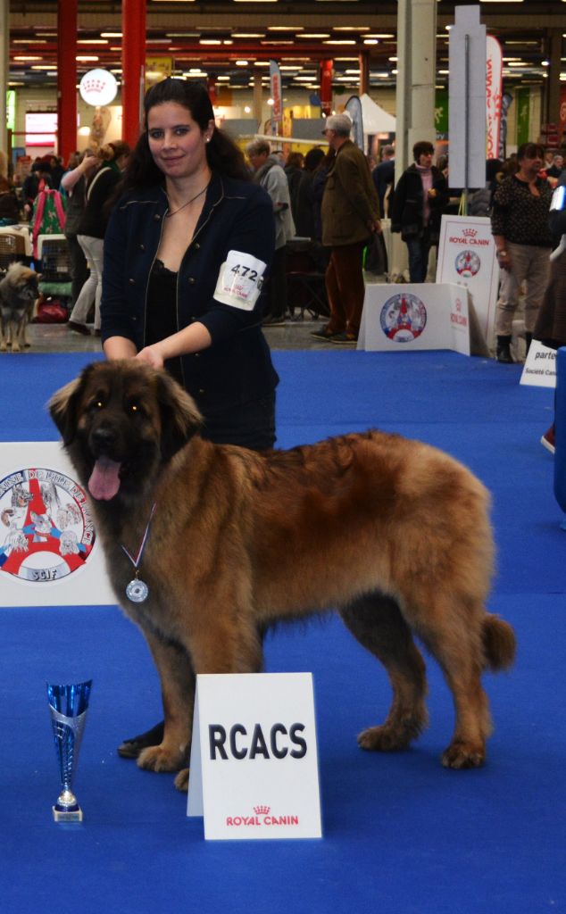 Publication : Des Gardiens Des Lions Auteur : Christiane Brignoli??