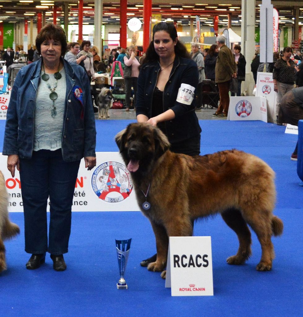 Publication : Des Gardiens Des Lions Auteur : Christiane Brignoli??