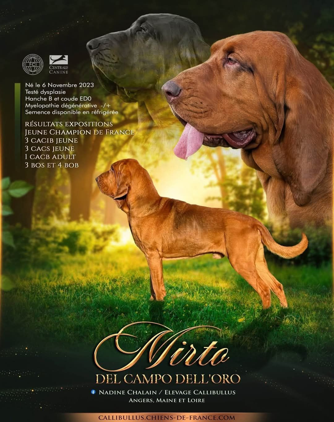 CH. Mirto Del campo dell'oro