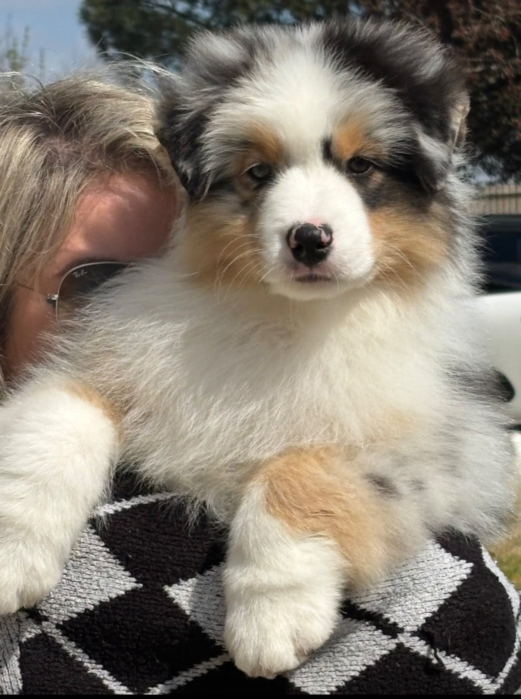 À bon entendeur De L'Aussie Happy