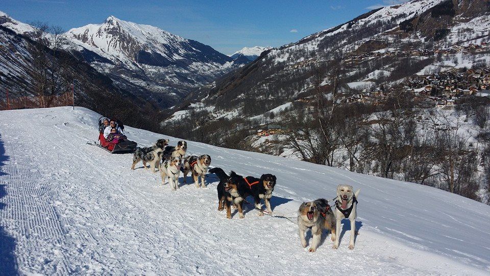 Bac Pro élevage Canin Et Félin Rhône-alpes