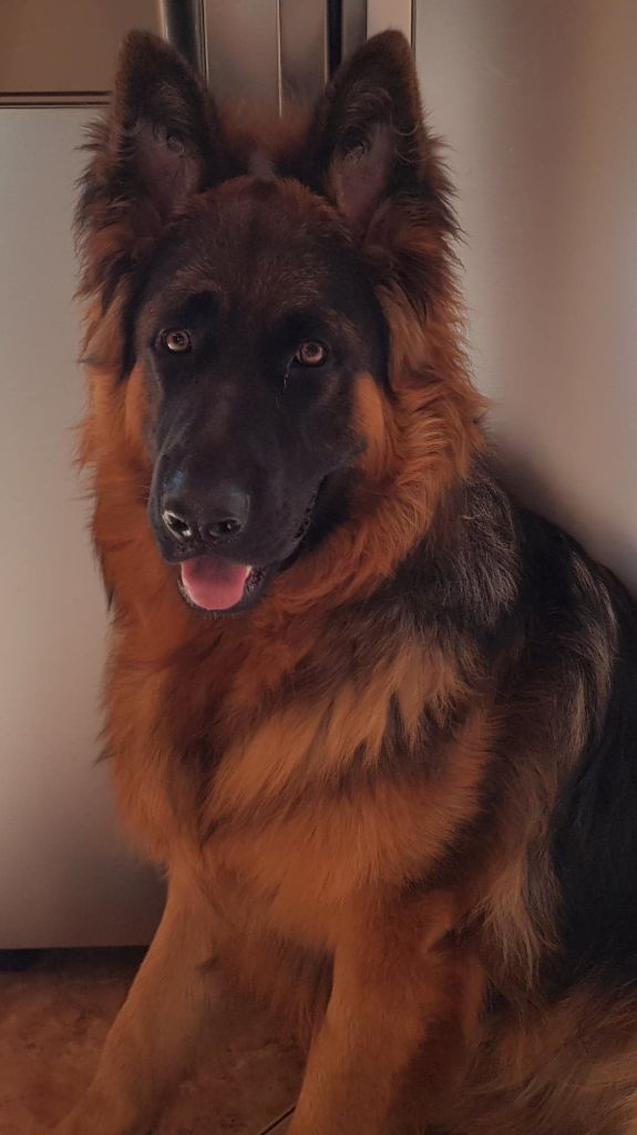 Publication : De La Légende D'odin