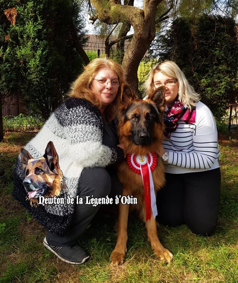 Publication : De La Légende D'odin