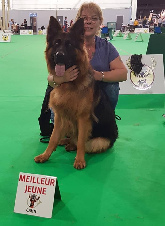 Publication : De La Légende D'odin