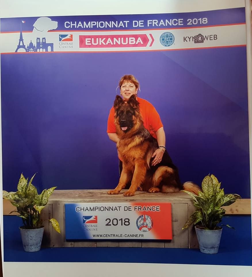 Publication : De La Légende D'odin