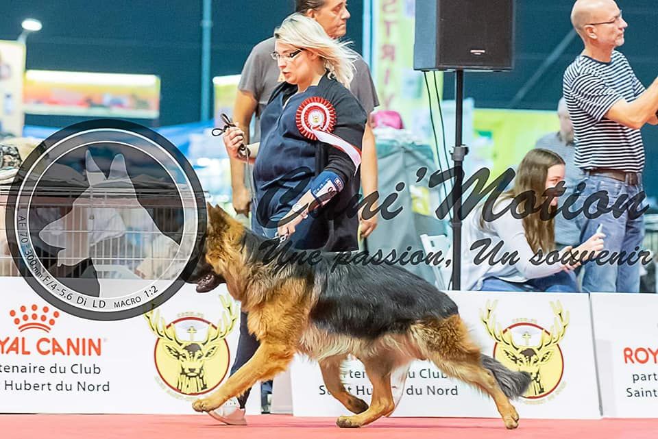 Publication : De La Légende D'odin