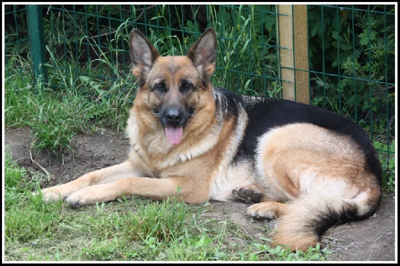 Publication : De La Légende D'odin