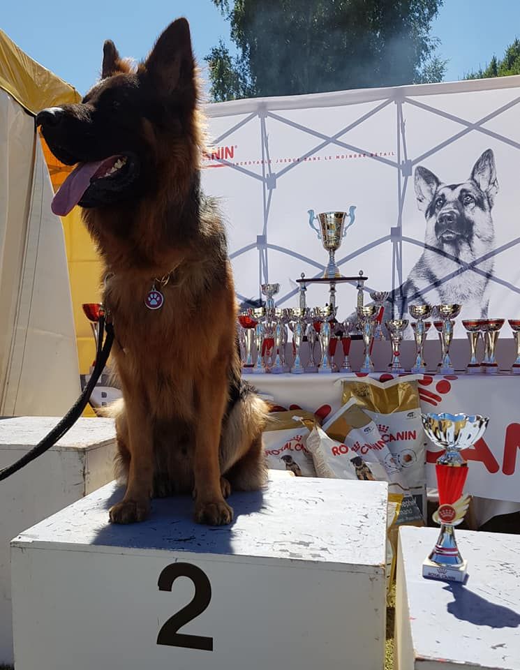 Publication : De La Légende D'odin