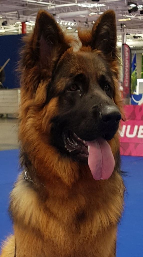 Publication : De La Légende D'odin