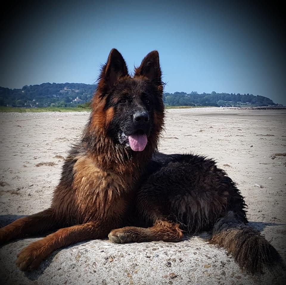 Publication : De La Légende D'odin