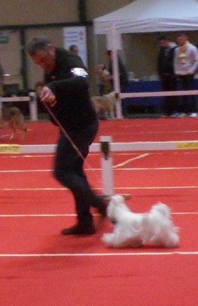 Publication : De Pepsie Pep's