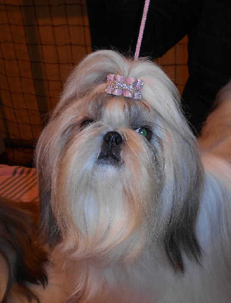 Publication : De Pepsie Pep's