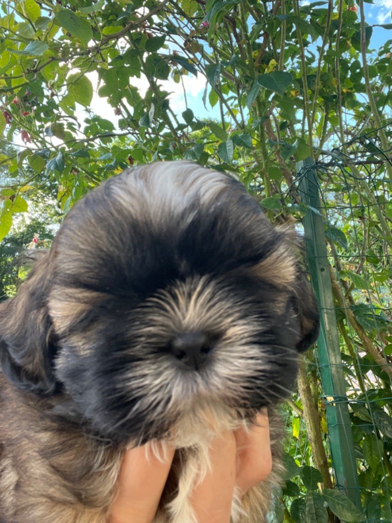 vickie