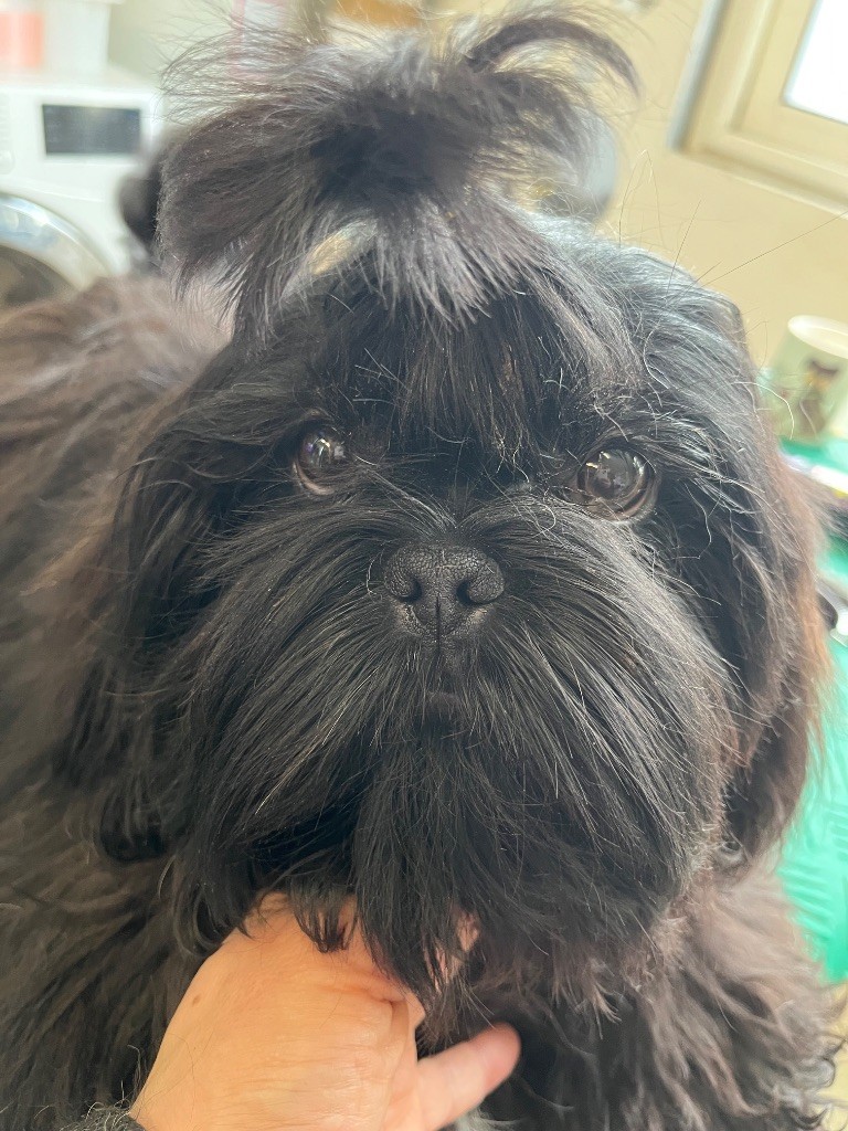 vasco