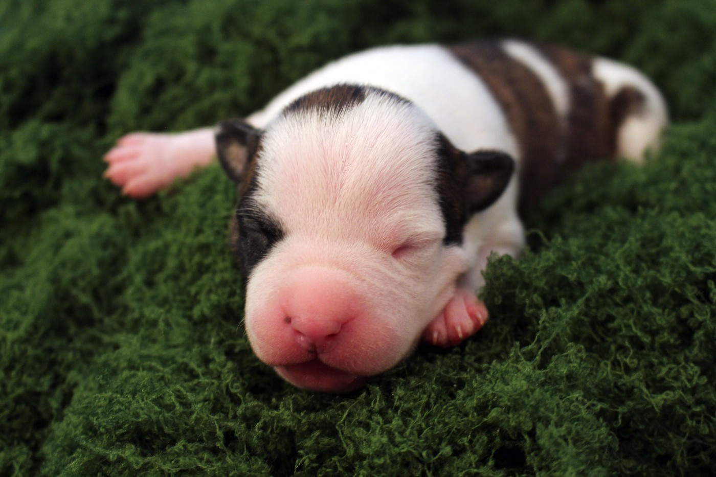 TSU'TEY - Psyche Destiny Belief shaped his soul