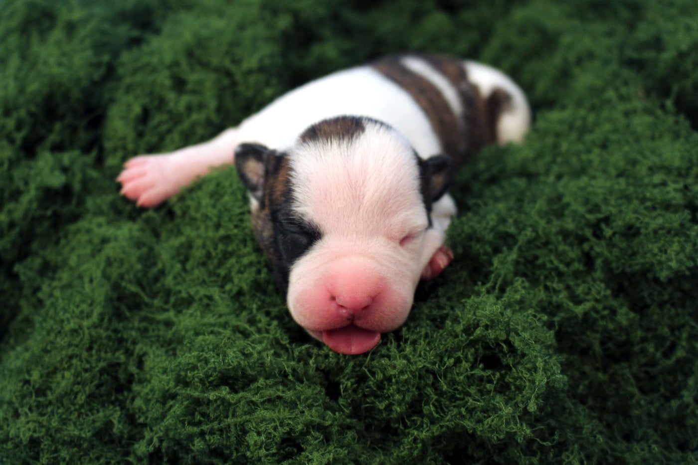 TSU'TEY - Psyche Destiny Belief shaped his soul