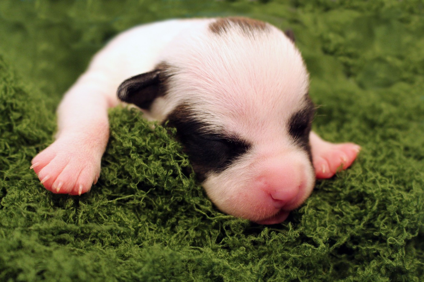 TUK - Psyche Destiny Brimming with life