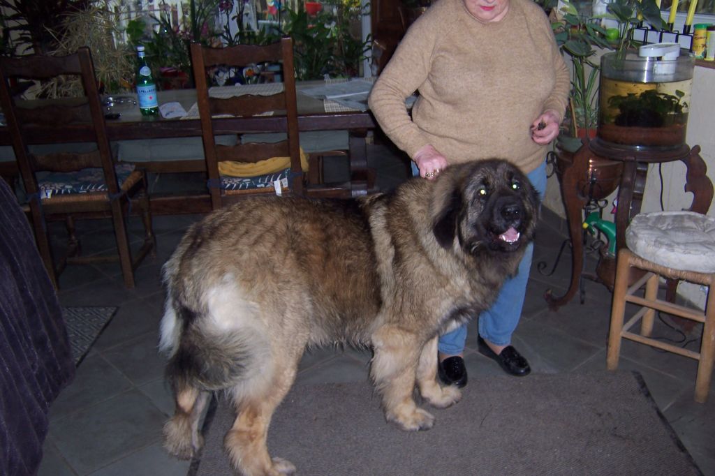 Publication : Des nuits étoilées par le roy tatius