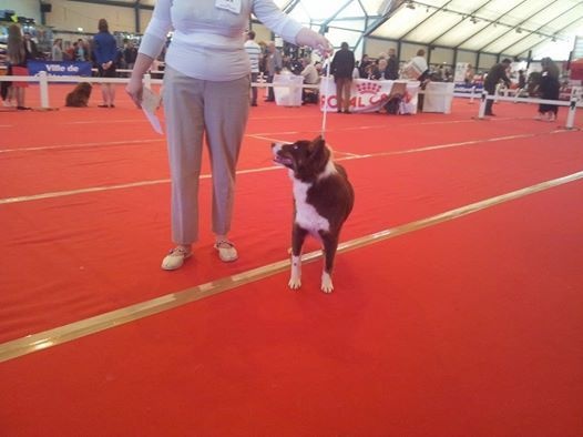 Iska (Sans Affixe) - Excellent