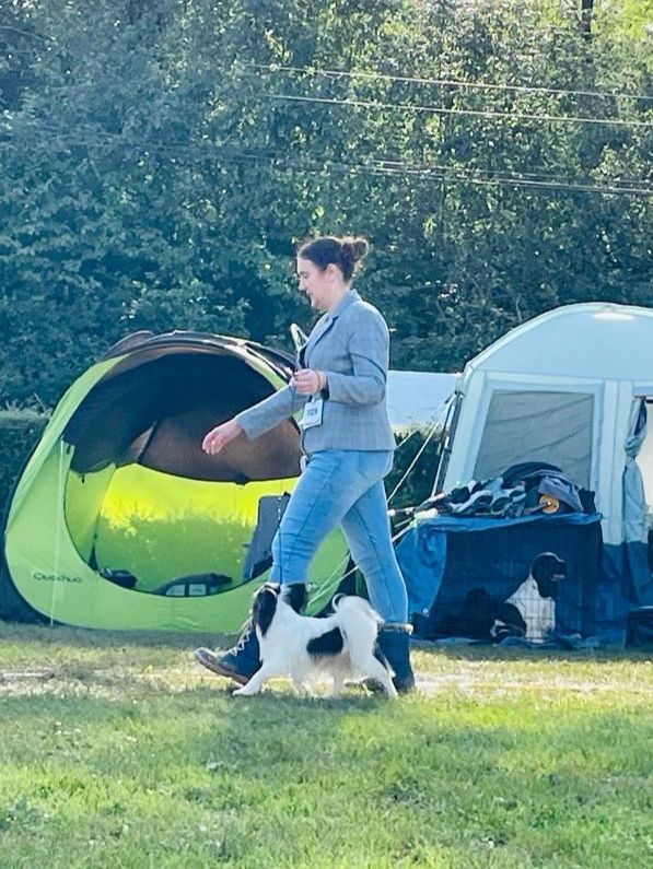 CH. Alexander the great (Sans Affixe) - 1er exc CACS & BOS