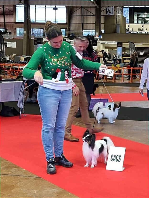 CH. Alexander the great (Sans Affixe) - 1er exc CACS