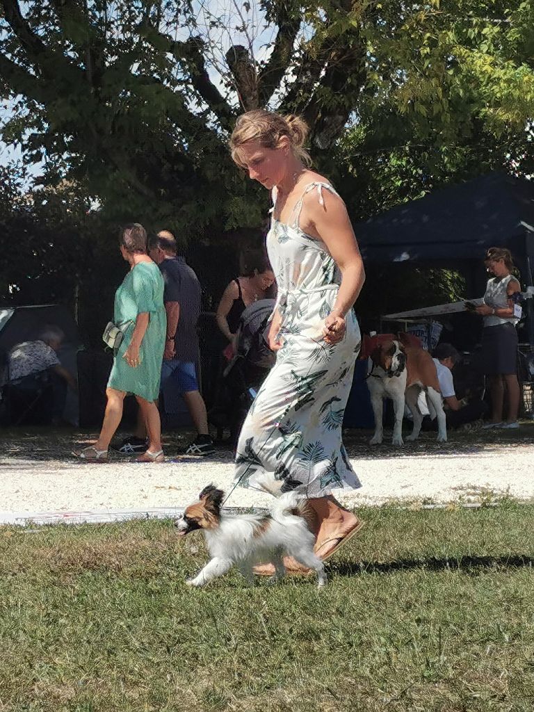 CH. Tenebreuse liriel Des Rivages De Numenor - Très prometteur - Meilleur baby