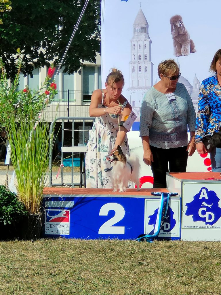 CH. Tenebreuse liriel Des Rivages De Numenor - 1er exc CACS-J, BOB-J, BOB & BOG 2