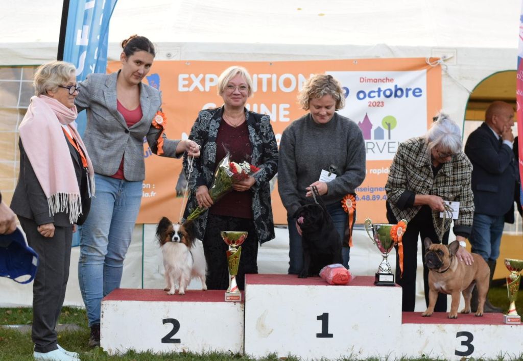 CH. Tenebreuse liriel Des Rivages De Numenor - 1er exc CACS-J, BOB-J, BOB & BOG 2
