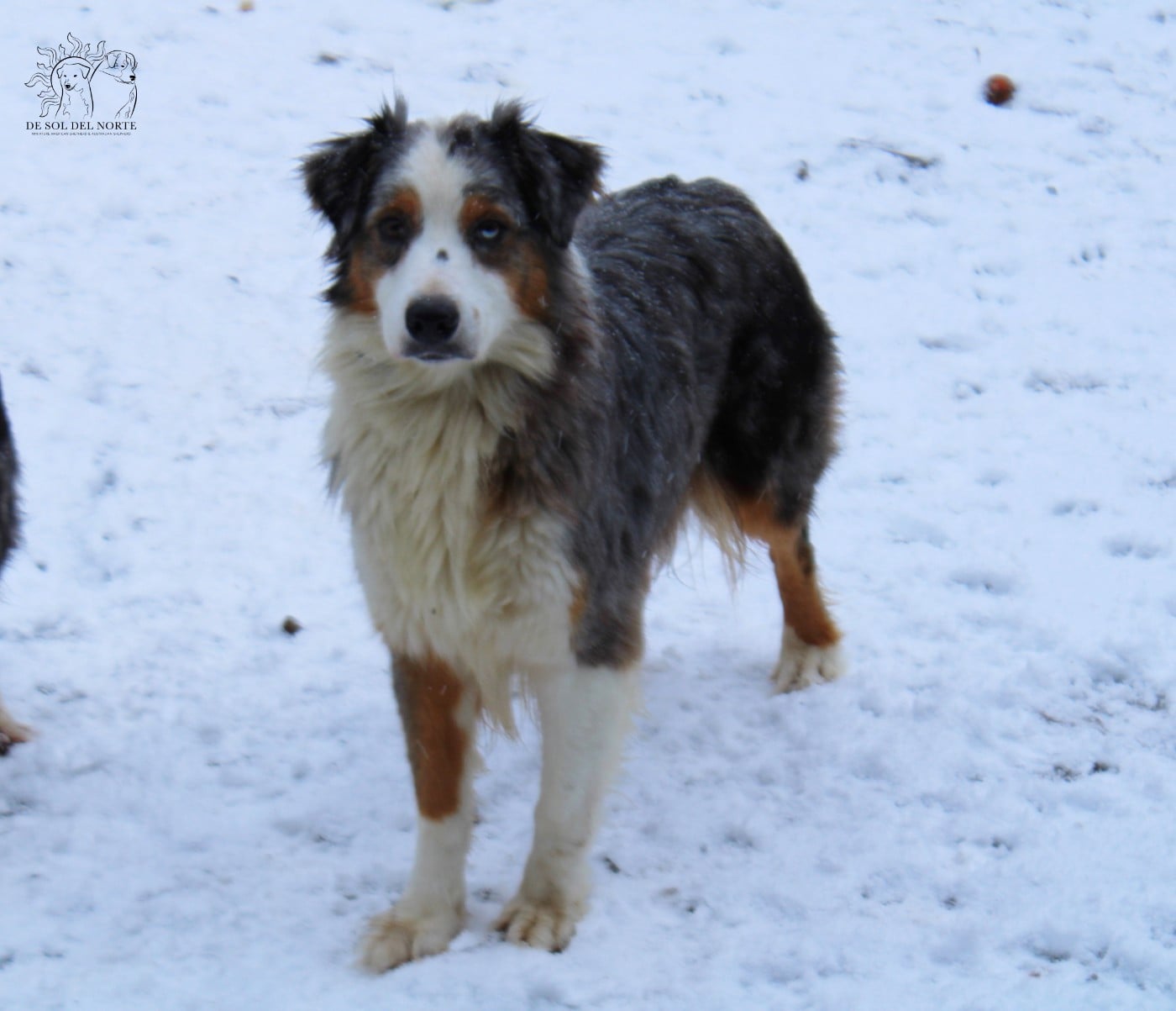 Ready for love roxana De Sol Del Norte